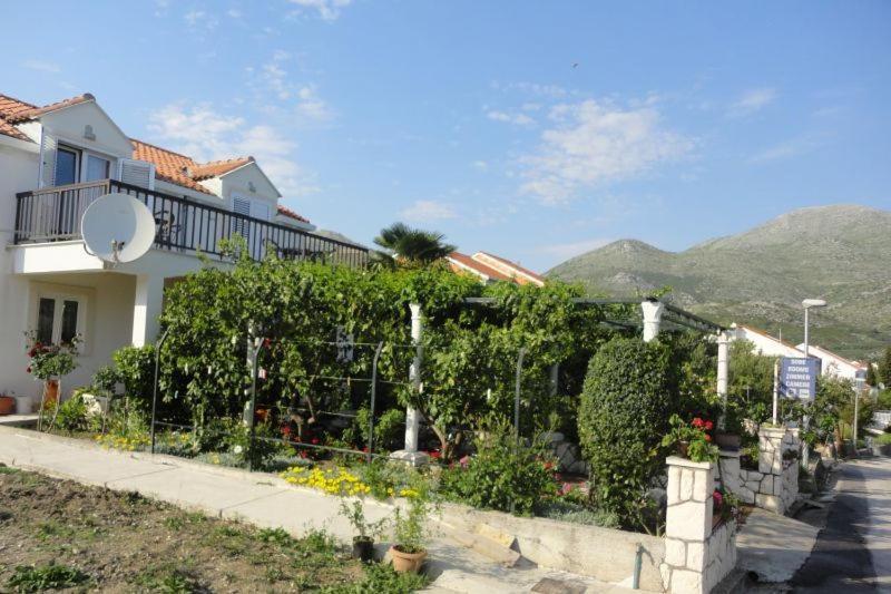 Guest House Pavkovic Слано Екстериор снимка